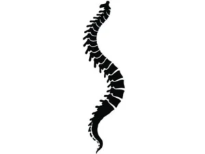 جراحی کیفوز